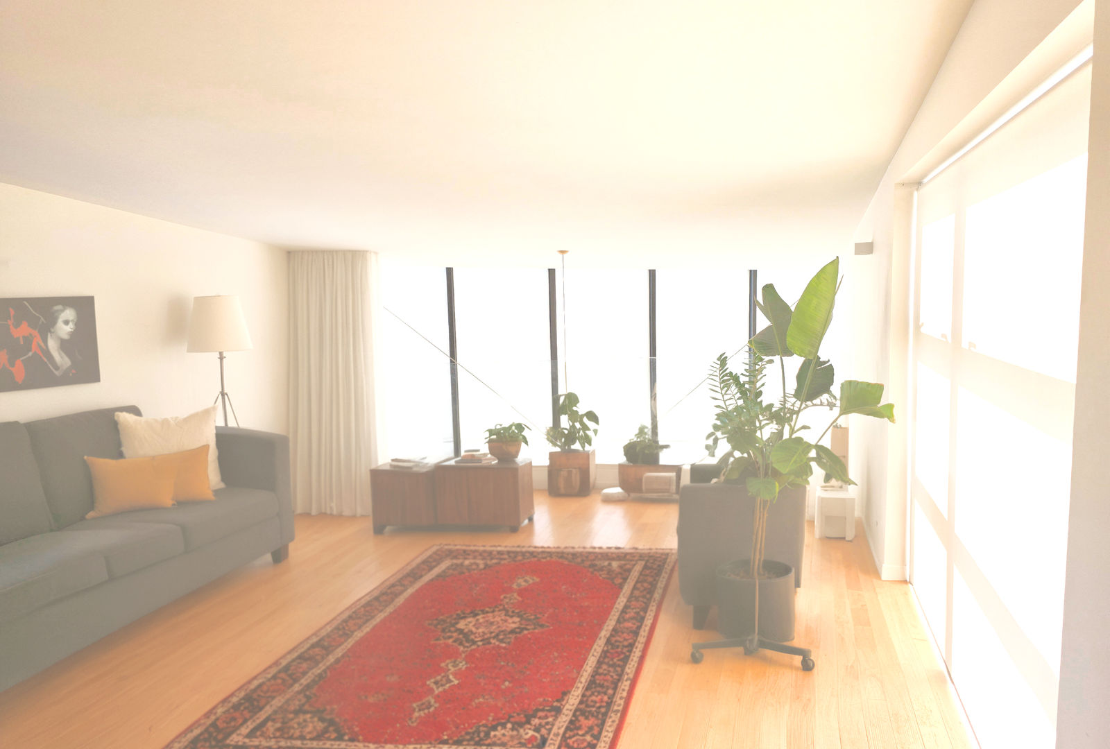 Motorised sunscreen roller blinds fitted floor-to-ceiling in a modern Wellington living room with harbour views